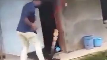Viral Video: ಹಾವಿನ ಬಾಲ ಹಿಡಿದು ಕಚ್ಚಿಸಿಕೊಳ್ಳುತ್ತಿದ್ದ ಉರಗ ತಜ್ಞ; ಸೆಕೆಂಡುಗಳಲ್ಲಿ ಅಪಾಯದಿಂದ ಪಾರು