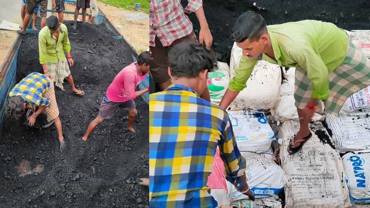 ಮಲ್ಕನ್ಗಿರಿ: ಟ್ರಕ್ನಲ್ಲಿ ಕಲ್ಲಿದ್ದಲಿನ ಮಧ್ಯೆ 2 ಕೋಟಿ ರೂ. ಗಾಂಜಾ ಸಾಗಣೆ, ಜಪ್ತಿ, ಮೂವರ ಸೆರೆ ಮಲ್ಕನ್ಗಿರಿ: ಟ್ರಕ್ನಲ್ಲಿ ಕಲ್ಲಿದ್ದಲಿನ ಮಧ್ಯೆ 2 ಕೋಟಿ ರೂ. ಗಾಂಜಾ ಸಾಗಣೆ, ಜಪ್ತಿ, ಮೂವರ ಸೆರೆ