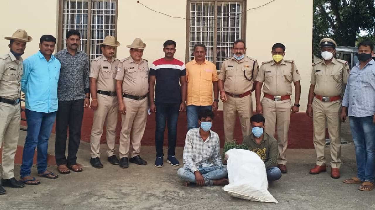 ಗಾಂಜಾ ಸಾಗಿಸುತ್ತಿದ್ದ ಇಬ್ಬರು ಆರೋಪಿಗಳ ಬಂಧನ; ಬಂಧಿತರಿಂದ ಲಕ್ಷಾಂತರ ರೂ. ಮೌಲ್ಯದ ಗಾಂಜಾ ಗಿಡ ವಶ ಗಾಂಜಾ ಸಾಗಿಸುತ್ತಿದ್ದ ಇಬ್ಬರು ಆರೋಪಿಗಳ ಬಂಧನ; ಬಂಧಿತರಿಂದ ಲಕ್ಷಾಂತರ ರೂ. ಮೌಲ್ಯದ ಗಾಂಜಾ ಗಿಡ ವಶ