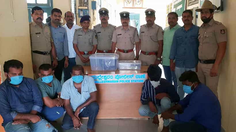 Crime News: ಬೆಂಗಳೂರಿನಲ್ಲಿ ಅಂಬರ್ಗ್ರೀಸ್ ಮಾರುತ್ತಿದ್ದ ಐವರ ಬಂಧನ