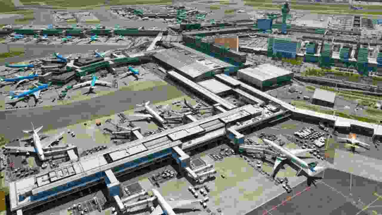 ಈ ವಿಮಾನ ನಿಲ್ದಾಣದಲ್ಲಿ ಹಂದಿಗಳಿಗೂ ಉದ್ಯೋಗಾವಕಾಶ; ವಿಚಿತ್ರ ಕಾರಣಕ್ಕೆ ಬೇಸತ್ತು ನಿರ್ಧಾರ ತೆಗೆದುಕೊಂಡ ಆಡಳಿತ ಈ ವಿಮಾನ ನಿಲ್ದಾಣದಲ್ಲಿ ಹಂದಿಗಳಿಗೂ ಉದ್ಯೋಗಾವಕಾಶ; ವಿಚಿತ್ರ ಕಾರಣಕ್ಕೆ ಬೇಸತ್ತು ನಿರ್ಧಾರ ತೆಗೆದುಕೊಂಡ ಆಡಳಿತ