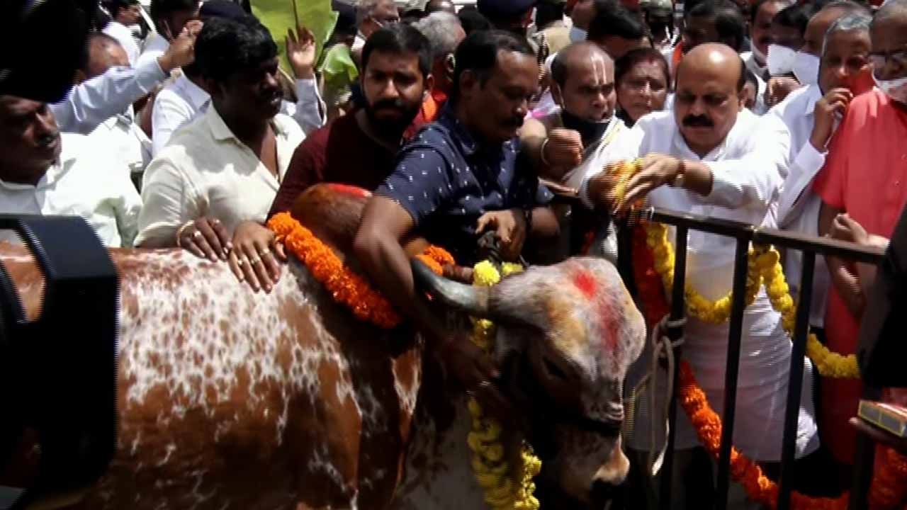 ಇಂಟಿಗ್ರೇಟೆಡ್ ಮೇಲ್ಸೇತುವೆಯನ್ನು ಉದ್ಘಾಟಿಸಿದ ಸಿಎಂ ಬೊಮ್ಮಾಯಿ; ಕಾರ್ಯಕ್ರಮದಲ್ಲಿ ಸಿದ್ದರಾಮಯ್ಯ, ಡಿಕೆ ಶಿವಕುಮಾರ್ ಫೋಟೋ ಅಳವಡಿಕೆ