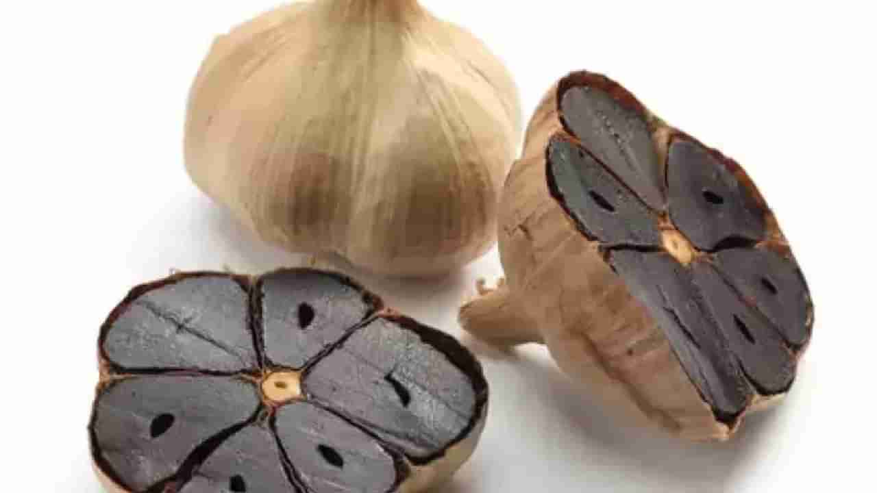 Black Garlic Benefits: ಕಪ್ಪು ಬೆಳ್ಳುಳ್ಳಿ ಸೇವಿಸಿದ್ದೀರಾ? ಆರೋಗ್ಯಕರ ಬದಲಾವಣೆಯ ಬಗ್ಗೆ ಒಮ್ಮೆ ತಿಳಿಯಿರಿ