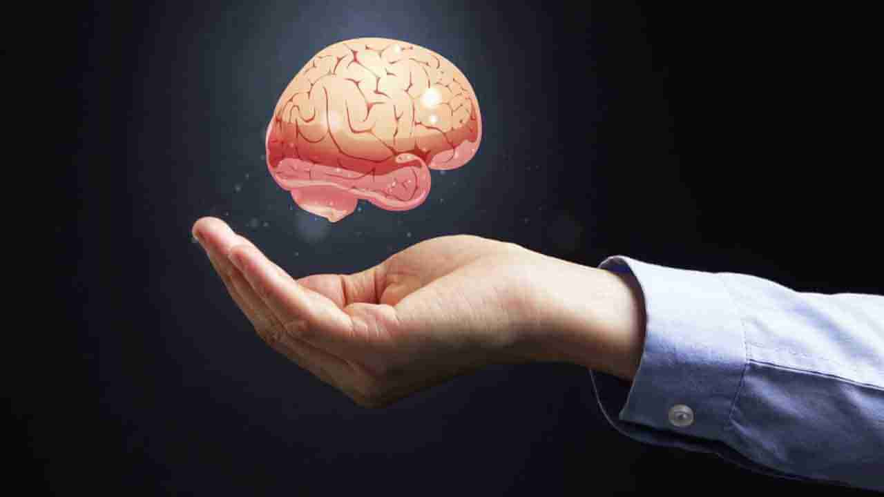 Brain Health: ಮೆದುಳಿನ ಆರೋಗ್ಯ ಸುಧಾರಣೆಗೆ ಈ ಕೆಲವು ಅಂಶಗಳನ್ನು ಪ್ರತಿನಿತ್ಯ ರೂಢಿಸಿಕೊಳ್ಳಿ