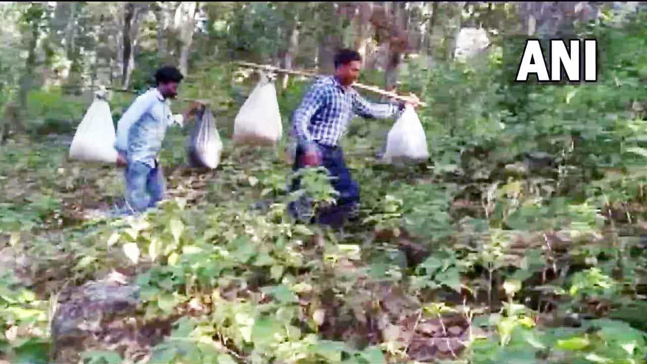 ಮಕ್ಕಳಿಗೆ ಮಧ್ಯಾಹ್ನದ ಬಿಸಿಯೂಟ ತಪ್ಪಬಾರದೆಂದು ನಿತ್ಯ 8 ಕಿಮೀ ನಡೆಯುವ ಶಿಕ್ಷಕರು ಮಕ್ಕಳಿಗೆ ಮಧ್ಯಾಹ್ನದ ಬಿಸಿಯೂಟ ತಪ್ಪಬಾರದೆಂದು ನಿತ್ಯ 8 ಕಿಮೀ ನಡೆಯುವ ಶಿಕ್ಷಕರು