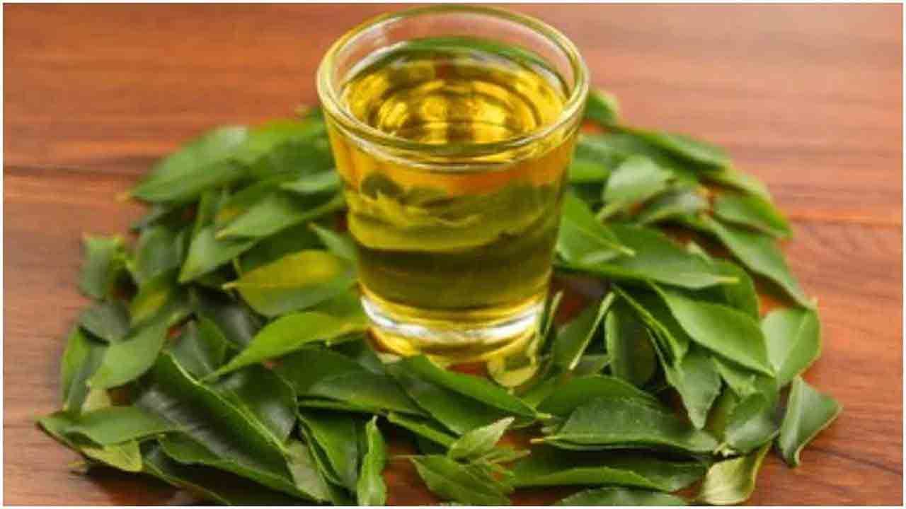 Curry Leaves Tea: ಕರಿಬೇವಿನ ಚಹಾದ ಆಶ್ಚರ್ಯಕರ ಆರೋಗ್ಯ ಪ್ರಯೋಜನಗಳು