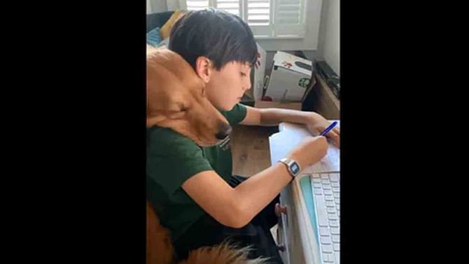Viral Video: ಹೋಮ್ವರ್ಕ್ ಮಾಡಲು ಬಾಲಕನಿಗೆ ಸಹಾಯ ಮಾಡುತ್ತಿರುವ ಶ್ವಾನ; ಸ್ನೇಹಿತರಿಬ್ಬರ ಕ್ಯೂಟ್ ವಿಡಿಯೋ ವೈರಲ್ Viral Video: ಹೋಮ್ವರ್ಕ್ ಮಾಡಲು ಬಾಲಕನಿಗೆ ಸಹಾಯ ಮಾಡುತ್ತಿರುವ ಶ್ವಾನ; ಸ್ನೇಹಿತರಿಬ್ಬರ ಕ್ಯೂಟ್ ವಿಡಿಯೋ ವೈರಲ್