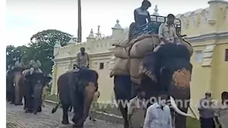 ಅಶ್ವತ್ಥಾಮ ನೇತೃತ್ವದ ಟೀಮ್ ಗಜ ಮೈಸೂರು ಅರಮನೆ ಅವರಣದಲ್ಲಿ ಭರ್ಜರಿ ತಾಲೀಮು ನಡೆಸಿದೆ