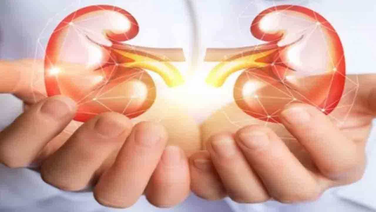 Health Tips: ನಿಮ್ಮ ಈ ಕೆಲವು ಅಭ್ಯಾಸಗಳು ಮೂತ್ರಪಿಂಡಕ್ಕೆ ಹಾನಿಕಾರಕ! Health Tips: ನಿಮ್ಮ ಈ ಕೆಲವು ಅಭ್ಯಾಸಗಳು ಮೂತ್ರಪಿಂಡಕ್ಕೆ ಹಾನಿಕಾರಕ!