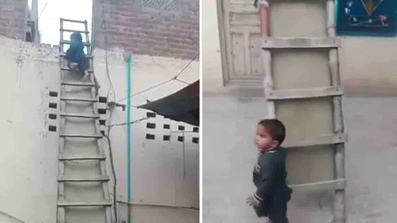 Viral Video: ಪುಟ್ಟ ಬಾಲಕ ಏಣಿ ಇಳಿಯುವ ವೇಗ ನೋಡಿ ಬೆರಗಾದ ನೆಟ್ಟಿಗರು; ವಿಡಿಯೋ ಫುಲ್ ವೈರಲ್ Viral Video: ಪುಟ್ಟ ಬಾಲಕ ಏಣಿ ಇಳಿಯುವ ವೇಗ ನೋಡಿ ಬೆರಗಾದ ನೆಟ್ಟಿಗರು; ವಿಡಿಯೋ ಫುಲ್ ವೈರಲ್