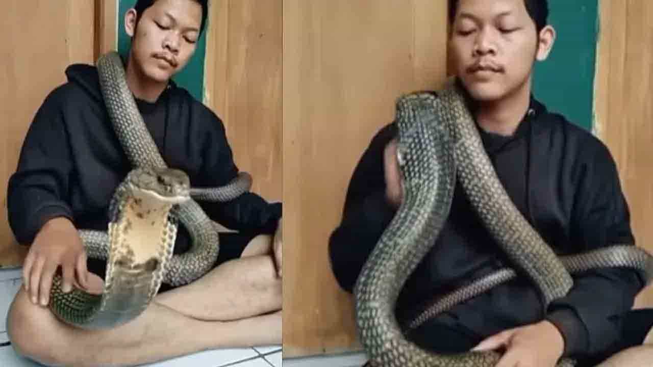 Shocking Video: ದೈತ್ಯ ನಾಗರಹಾವನ್ನು ಕುತ್ತಿಗೆಗೆ ಸುತ್ತಿಕೊಂಡು ಮುದ್ದಾಡಿದ ವ್ಯಕ್ತಿ; ವಿಡಿಯೋ ನೋಡಿ