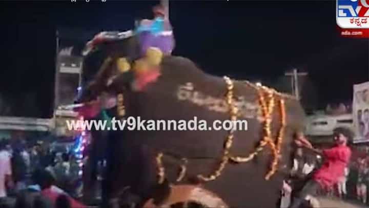 ದಾವಣಗೆರೆಯ ಮಾಯಾಕೊಂಡದಲ್ಲೂ ಜಂಬೂ ಸವಾರಿ ನಡೆಯುತ್ತದೆ, ಆದರೆ ಇದು ಮೈಸೂರಿನದಕ್ಕಿಂತ ಭಿನ್ನ! ದಾವಣಗೆರೆಯ ಮಾಯಾಕೊಂಡದಲ್ಲೂ ಜಂಬೂ ಸವಾರಿ ನಡೆಯುತ್ತದೆ, ಆದರೆ ಇದು ಮೈಸೂರಿನದಕ್ಕಿಂತ ಭಿನ್ನ!