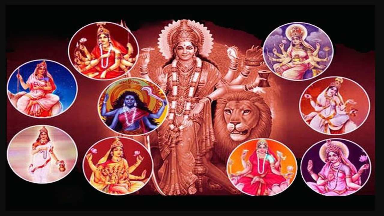 Mysuru Dasara 2021: ದುರ್ಗಾ ಮಾತೆಯ 9 ದಿವ್ಯ ಅವತಾರ ಆಯುರ್ವೇದದಲ್ಲಿ 9 ದಿವ್ಯ ಔಷಧ ರೂಪದಲ್ಲಿದೆ; ವಿವರ ಇಲ್ಲಿದೆ Mysuru Dasara 2021: ದುರ್ಗಾ ಮಾತೆಯ 9 ದಿವ್ಯ ಅವತಾರ ಆಯುರ್ವೇದದಲ್ಲಿ 9 ದಿವ್ಯ ಔಷಧ ರೂಪದಲ್ಲಿದೆ; ವಿವರ ಇಲ್ಲಿದೆ