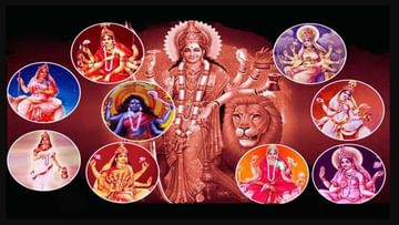 Mysuru Dasara 2021: ದುರ್ಗಾ ಮಾತೆಯ 9 ದಿವ್ಯ ಅವತಾರ ಆಯುರ್ವೇದದಲ್ಲಿ 9 ದಿವ್ಯ ಔಷಧ ರೂಪದಲ್ಲಿದೆ; ವಿವರ ಇಲ್ಲಿದೆ