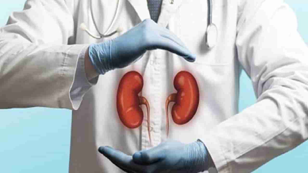 Kidney Transplant: ಮನುಷ್ಯನ ದೇಹಕ್ಕೆ ಹಂದಿಯ ಕಿಡ್ನಿ ಕಸಿ ಮಾಡುವಲ್ಲಿ ಅಮೆರಿಕದ ಸರ್ಜನ್​ಗಳು ಯಶಸ್ವಿ!