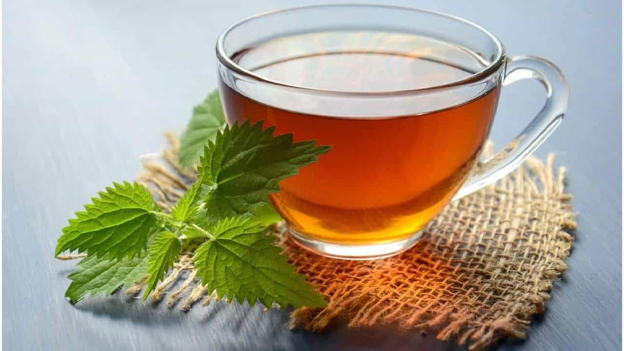 Green Tea Benefits: ಗ್ರೀನ್​ ಟೀ ನಿಮ್ಮ ದೇಹಕ್ಕೆ ಎಷ್ಟು ಒಳಿತು? ಇಲ್ಲಿದೆ ಗ್ರೀನ್​ ಟೀ ಮಹತ್ವ