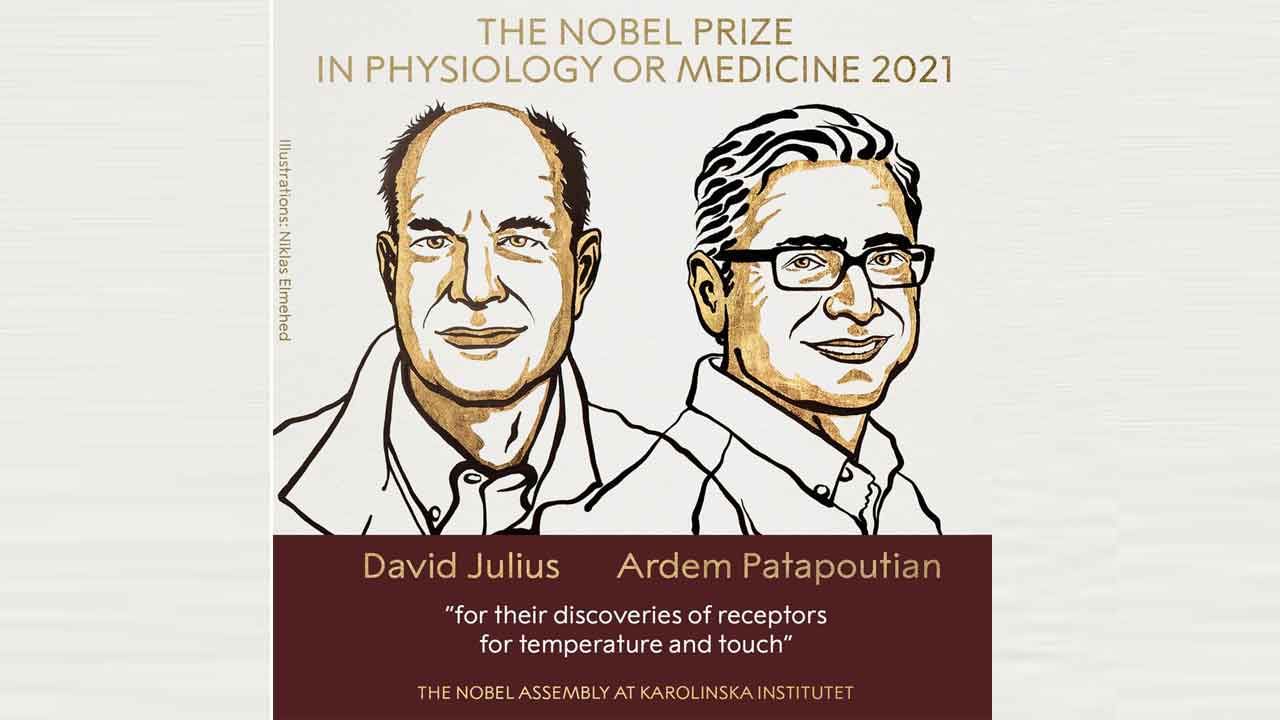 Nobel Prize 2021 ಅಮೆರಿಕದ ಡೇವಿಡ್ ಜೂಲಿಯಸ್ ಮತ್ತು ಆರ್ಡೆಮ್ ಪಟಪೌಟಿಯನ್ಗೆ 2021ರ ವೈದ್ಯಕೀಯ ನೊಬೆಲ್ ಪ್ರಶಸ್ತಿ Nobel Prize 2021 ಅಮೆರಿಕದ ಡೇವಿಡ್ ಜೂಲಿಯಸ್ ಮತ್ತು ಆರ್ಡೆಮ್ ಪಟಪೌಟಿಯನ್ಗೆ 2021ರ ವೈದ್ಯಕೀಯ ನೊಬೆಲ್ ಪ್ರಶಸ್ತಿ
