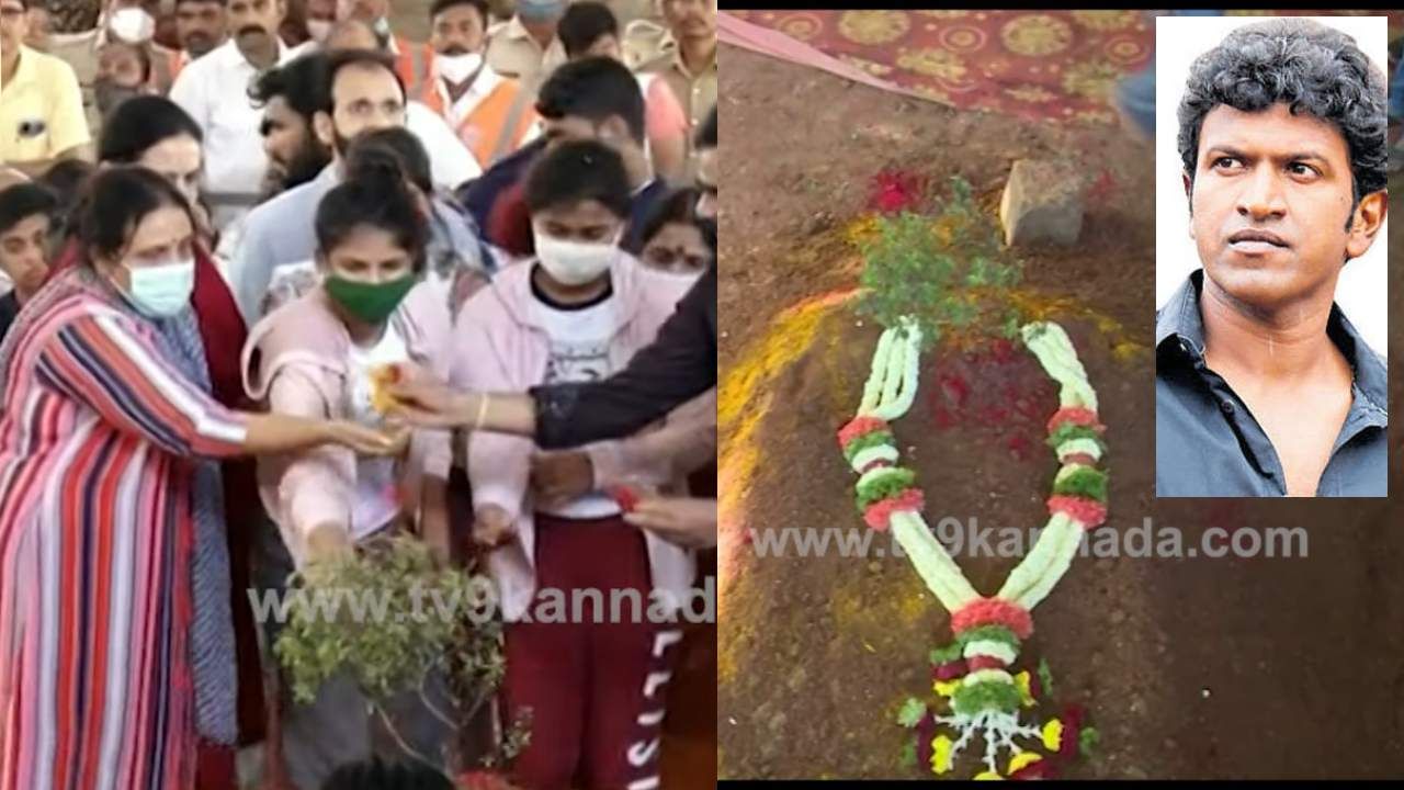 Puneeth Rajkumar Funeral: ಅಪ್ಪನ ಸಮಾಧಿಗೆ ಪುನೀತ್ ಪುತ್ರಿಯರಿಂದ ಪೂಜೆ; ಕಂಠೀರವ ಸ್ಟುಡಿಯೋದಲ್ಲಿ ಕಣ್ಣೀರ ವಿದಾಯ Puneeth Rajkumar Funeral: ಅಪ್ಪನ ಸಮಾಧಿಗೆ ಪುನೀತ್ ಪುತ್ರಿಯರಿಂದ ಪೂಜೆ; ಕಂಠೀರವ ಸ್ಟುಡಿಯೋದಲ್ಲಿ ಕಣ್ಣೀರ ವಿದಾಯ