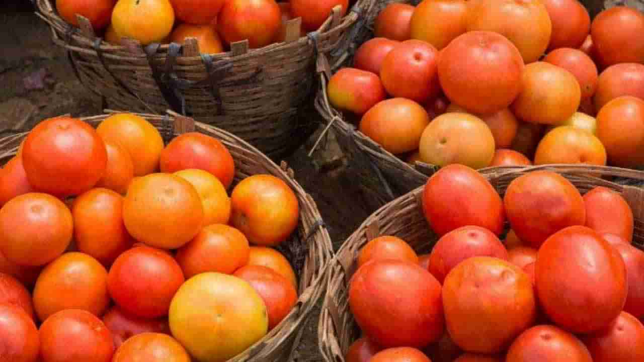 Tomato Price: ಟೊಮೆಟೊ ದರ 100 ರೂ. ಸಮೀಪ; ಬೆಲೆ ಏರಿಕೆಗೆ ಕಾರಣಗಳು ಏನೆಲ್ಲಾ ಗೊತ್ತಾ?