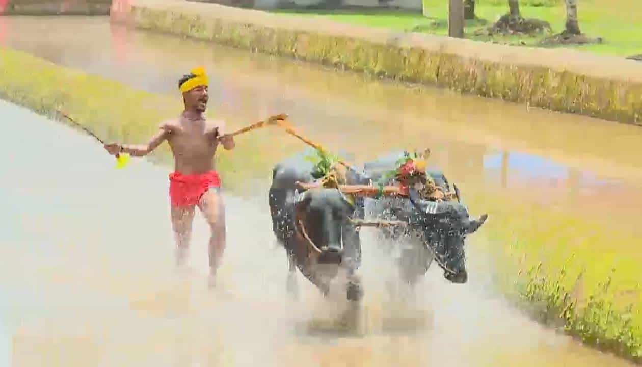 Kambala: ಕಂಬಳ ಕ್ರೀಡೆಗೆ ಮಹಿಳಾ ಸಾರಥಿಗಳು; ಐವರು ಯುವತಿಯರಿಗೆ ತರಬೇತಿ ನೀಡಲು ತಯಾರಿ