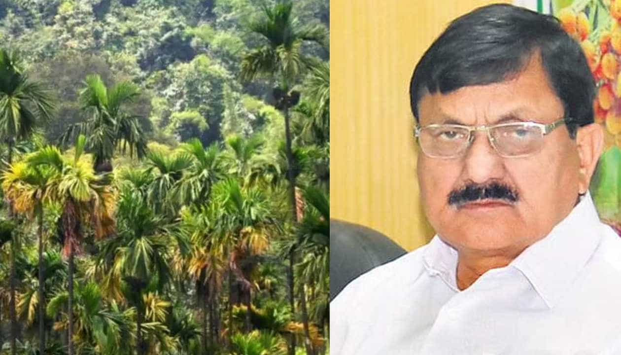 ಎಲೆ ಚುಕ್ಕಿ ರೋಗಕ್ಕೆ ಅಡಿಕೆ ಕೃಷಿಕರು ಕಂಗಾಲು; ಟಾಸ್ಕ್ಫೋರ್ಸ್ ಅಧ್ಯಕ್ಷರ ಭೇಟಿ, ಪರಿಹಾರದ ಭರವಸೆ ಎಲೆ ಚುಕ್ಕಿ ರೋಗಕ್ಕೆ ಅಡಿಕೆ ಕೃಷಿಕರು ಕಂಗಾಲು; ಟಾಸ್ಕ್ಫೋರ್ಸ್ ಅಧ್ಯಕ್ಷರ ಭೇಟಿ, ಪರಿಹಾರದ ಭರವಸೆ