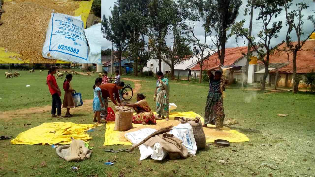 ಮುಂದಿನ ವಾರದಿಂದಲೇ ಬಿಸಿಯೂಟ ಪುನರಾರಂಭ: ಆದರೆ ಶಿಕ್ಷಣ ಸಚಿವರ ಕ್ಷೇತ್ರದಲ್ಲೇ ಹುಳು ಹಿಡಿದ ಆಹಾರ ಪತ್ತೆ! ವಿಡಿಯೋ ವೈರಲ್