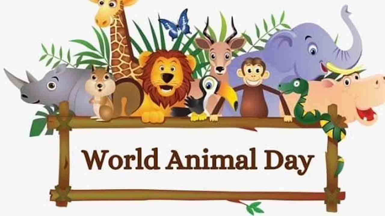 World Animal Day 2021: ನಮ್ಮಂತೆಯೇ ಪ್ರಾಣಿಗಳಿಗೂ ಬದುಕಲು ಅವಕಾಶ ಕೊಡೋಣ; ಅವುಗಳ ರಕ್ಷಣೆಯ ಬಗ್ಗೆ ಜಾಗೃತಿ ಮೂಡಿಸೋಣ