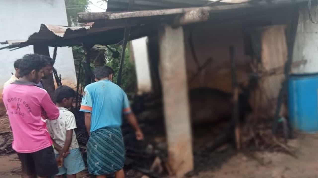 ಜಾನುವಾರಗಳ ಮೇಲೆ ದುಷ್ಟರ ಅಟ್ಟಹಾಸ; ಪೆಟ್ರೋಲ್ ಸುರಿದು ಎಮ್ಮೆಗಳಿಗೆ ಬೆಂಕಿ ಇಟ್ಟ ದುಷ್ಕರ್ಮಿಗಳು
