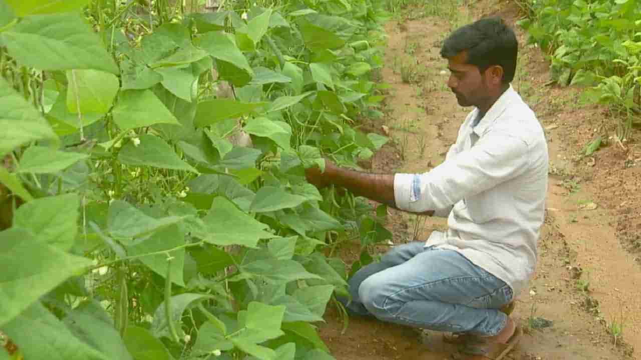 ಬರಡು ಭೂಮಿಯಲ್ಲಿ ಮಿಶ್ರ ಬೆಳೆ ಬೆಳೆದ ಸಾಹಸಿ ರೈತ; ಮಳೆ ನೀರನ್ನೇ ಆಧಾರವಾಗಿಸಿ ವರ್ಷಕ್ಕೆ 10 ಲಕ್ಷ ರೂ. ಆದಾಯ