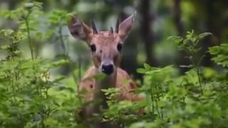 ತಂದೆ- ತಾಯಿ ಕಳೆದುಕೊಂಡು ಅನಾಥ ಸಹೋದರಿಯರಿಗೆ ಓದಿಸುವ ಭರವಸೆ ನೀಡಿದ ಸಚಿವ ಆರ್ ಅಶೋಕ್