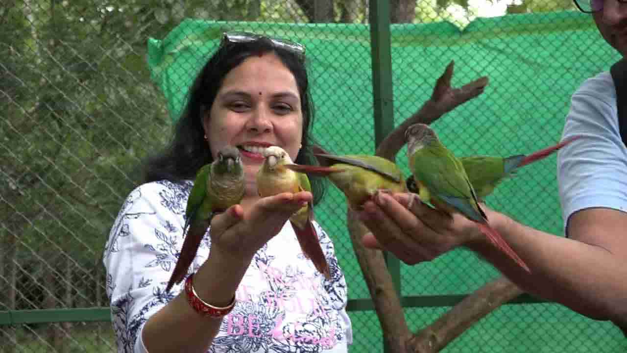 Kaveri Nisargadhama: ಕೊಡಗು ಪ್ರವಾಸೋದ್ಯಮಕ್ಕೆ ಹೊಸ ಗರಿ, ಪ್ರವಾಸಿಗರ ಆಕರ್ಷಿಸುತ್ತಿದೆ ಪಕ್ಷಿಗಳ ಪಾರ್ಕ್