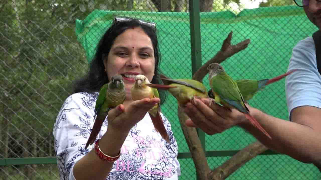 Kaveri Nisargadhama: ಕೊಡಗು ಪ್ರವಾಸೋದ್ಯಮಕ್ಕೆ ಹೊಸ ಗರಿ, ಪ್ರವಾಸಿಗರ ಆಕರ್ಷಿಸುತ್ತಿದೆ ಪಕ್ಷಿಗಳ ಪಾರ್ಕ್