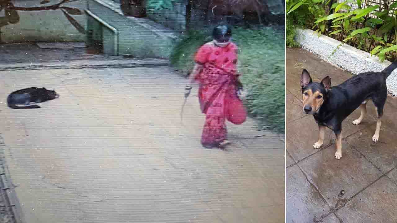 ಬೀದಿನಾಯಿ ವಿಚಾರಕ್ಕೆ 2 ಕುಟುಂಬಗಳ ನಡುವೆ ಬೀದಿ ಜಗಳ, ಮಲ್ಲೇಶ್ವರಂ ಠಾಣೆಯಲ್ಲಿ FIR ದಾಖಲು ಬೀದಿನಾಯಿ ವಿಚಾರಕ್ಕೆ 2 ಕುಟುಂಬಗಳ ನಡುವೆ ಬೀದಿ ಜಗಳ, ಮಲ್ಲೇಶ್ವರಂ ಠಾಣೆಯಲ್ಲಿ FIR ದಾಖಲು