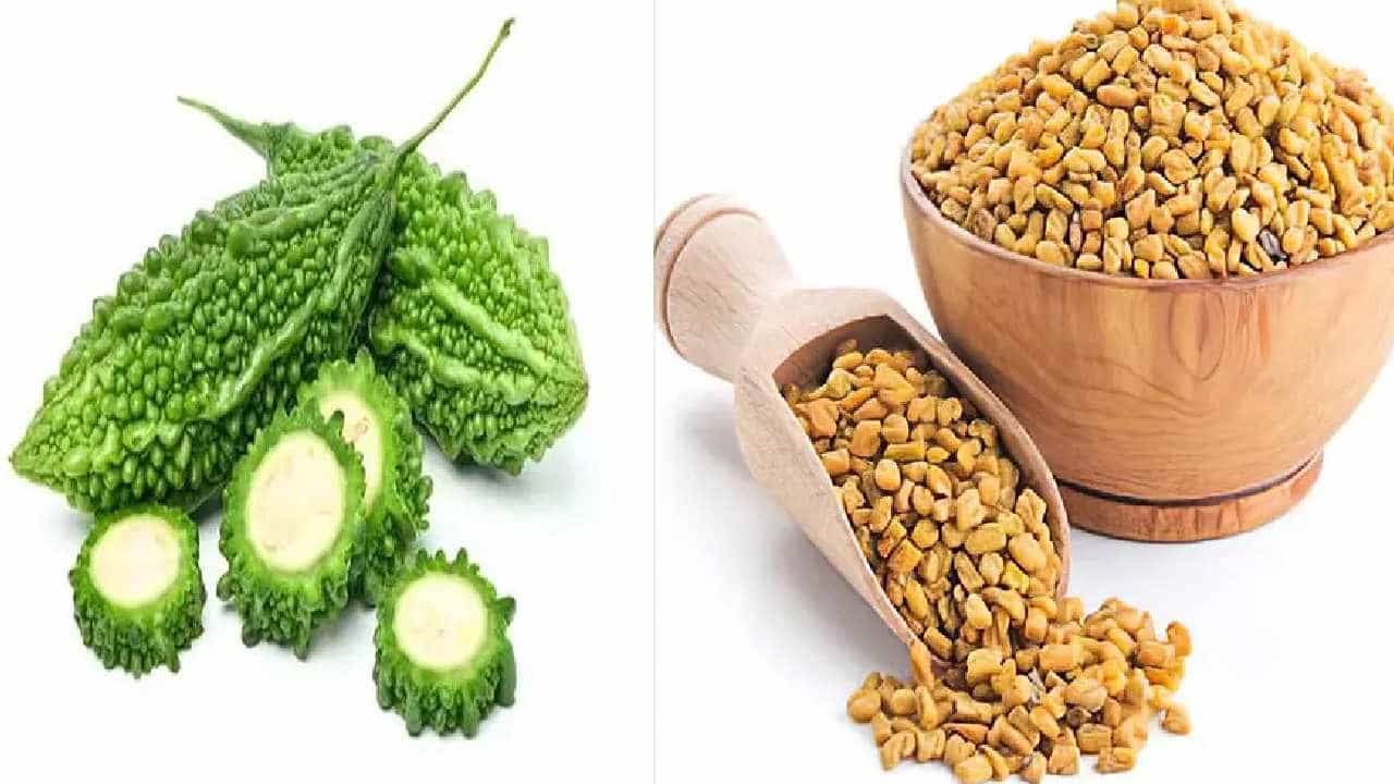 Health Tips: ಕಹಿಯಾಗಿದ್ದರೂ ಆರೋಗ್ಯಕರ ಗುಣಗಳನ್ನು ಹೊಂದಿರುವ ಈ 5 ಪದಾರ್ಥಗಳ ಬಗ್ಗೆ ತಿಳಿಯಿರಿ Health Tips: ಕಹಿಯಾಗಿದ್ದರೂ ಆರೋಗ್ಯಕರ ಗುಣಗಳನ್ನು ಹೊಂದಿರುವ ಈ 5 ಪದಾರ್ಥಗಳ ಬಗ್ಗೆ ತಿಳಿಯಿರಿ