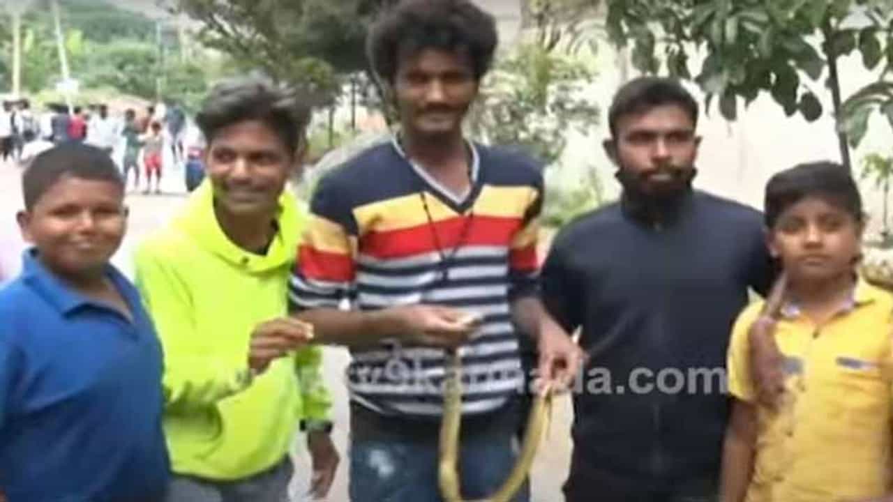 ಬೆಂಗಳೂರಿನ ಸಿಂಗಪೂರ್ ಕಾಲೊನಿಯಲ್ಲಿ  ಮಳೆನೀರಿನ ಜೊತೆ ಹಾವುಗಳೂ ಹರಿದು ಬರುತ್ತಿವೆ!