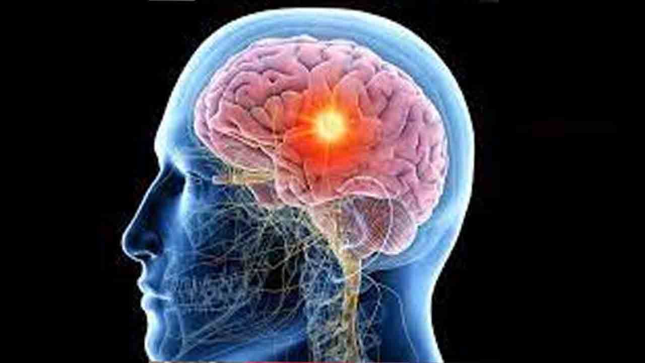 National Epilepsy Day 2021: ರಾಷ್ಟ್ರೀಯ ಅಪಸ್ಮಾರ ಜಾಗೃತಿ ದಿನ; ರೋಗ ಲಕ್ಷಣಗಳು ಮತ್ತು ಸಮಸ್ಯೆಯನ್ನು ಎದುರಿಸುವುದು ಹೇಗೆ?