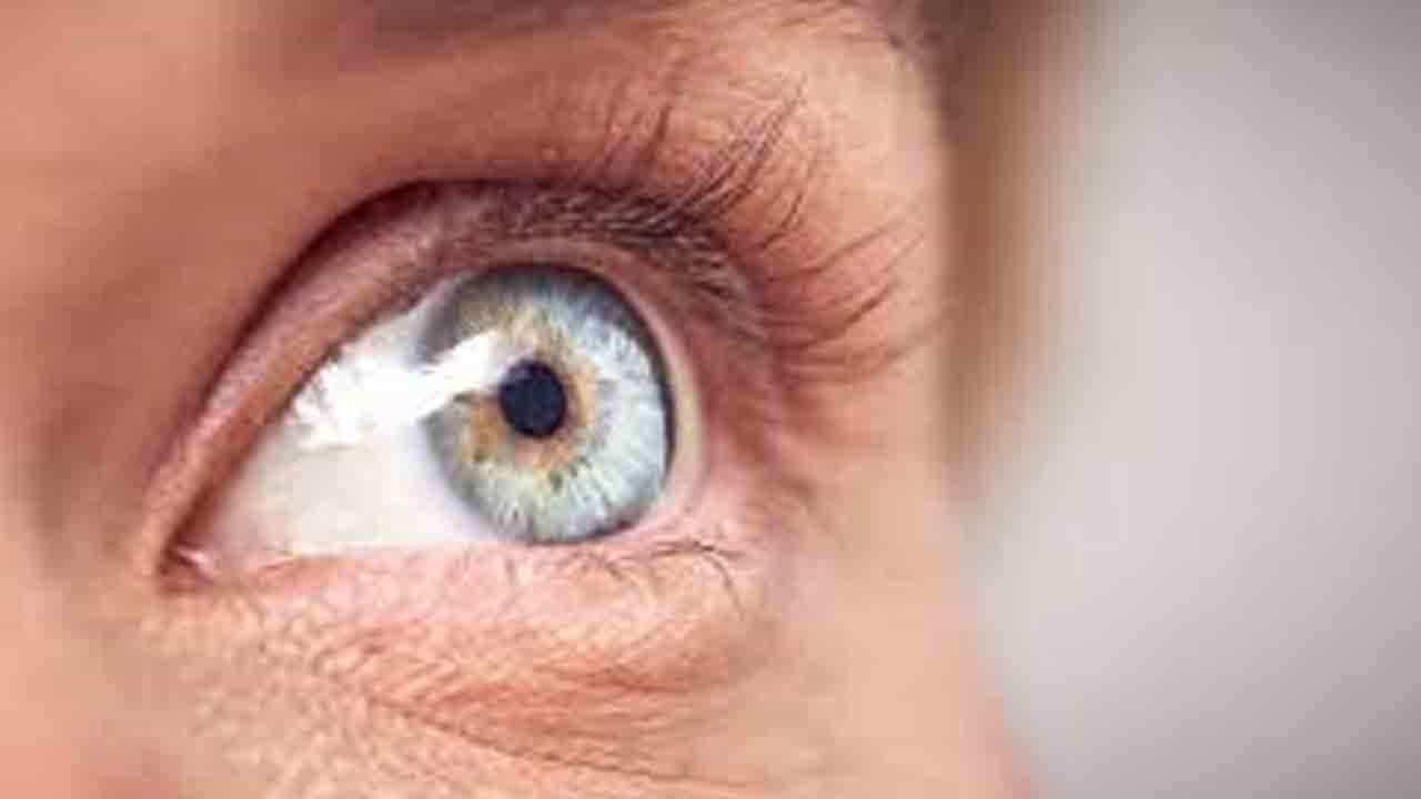 Eye Health: ನಿಮ್ಮ ದೃಷ್ಟಿ ಕ್ಷೀಣಿಸುತ್ತಿದೆಯೇ? ಕಣ್ಣುಗಳ ಆರೋಗ್ಯ ಸುರಕ್ಷತೆಗೆ ಇಲ್ಲಿವೆ ಸಲಹೆಗಳು Eye Health: ನಿಮ್ಮ ದೃಷ್ಟಿ ಕ್ಷೀಣಿಸುತ್ತಿದೆಯೇ? ಕಣ್ಣುಗಳ ಆರೋಗ್ಯ ಸುರಕ್ಷತೆಗೆ ಇಲ್ಲಿವೆ ಸಲಹೆಗಳು