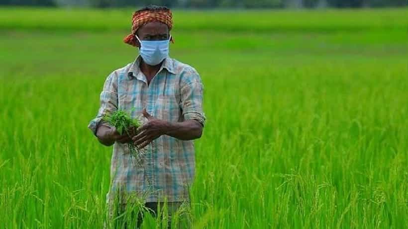 Agriculture Loan: 2022ರ ಬಜೆಟ್ನಲ್ಲಿ ರೈತರಿಗೆ ನೀಡುವ ಕೃಷಿ ಸಾಲದ ಪ್ರಮಾಣ 18 ಲಕ್ಷ ಕೋಟಿ ರೂ.ಗೆ ಏರಿಕೆ ಸಾಧ್ಯತೆ