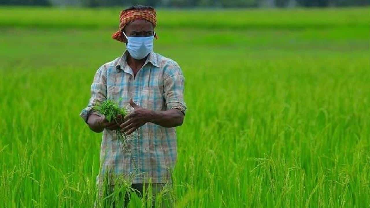 Agriculture Loan: 2022ರ ಬಜೆಟ್​ನಲ್ಲಿ ರೈತರಿಗೆ ನೀಡುವ ಕೃಷಿ ಸಾಲದ ಪ್ರಮಾಣ 18 ಲಕ್ಷ ಕೋಟಿ ರೂ.ಗೆ ಏರಿಕೆ ಸಾಧ್ಯತೆ
