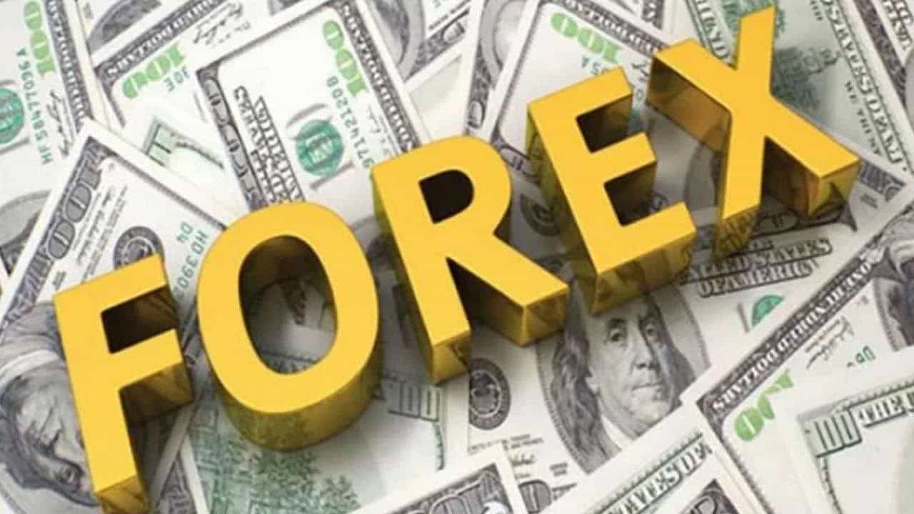 Foreign Remittance: ಸೆಪ್ಟೆಂಬರ್ನಲ್ಲಿ 3 ವರ್ಷಗಳ ಗರಿಷ್ಠ ಮಟ್ಟಕ್ಕೆ ವಿದೇಶಕ್ಕೆ ಹಣ ರವಾನೆ; 15,800 ಕೋಟಿ ರೂ. ಮುಟ್ಟಿದ ಮೊತ್ತ Foreign Remittance: ಸೆಪ್ಟೆಂಬರ್ನಲ್ಲಿ 3 ವರ್ಷಗಳ ಗರಿಷ್ಠ ಮಟ್ಟಕ್ಕೆ ವಿದೇಶಕ್ಕೆ ಹಣ ರವಾನೆ; 15,800 ಕೋಟಿ ರೂ. ಮುಟ್ಟಿದ ಮೊತ್ತ