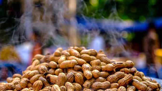 ಬೆಂಗಳೂರು: ನ.29ರಿಂದ ಬಸವನಗುಡಿಯಲ್ಲಿ ಕಡಲೇಕಾಯಿ ಪರಿಷೆ ಆರಂಭ; ಕೊರೊನಾ ನಿಯಮ ಪಾಲಿಸಿ ಪರಿಷೆ ನಡೆಸಲು ಅನುಮತಿ