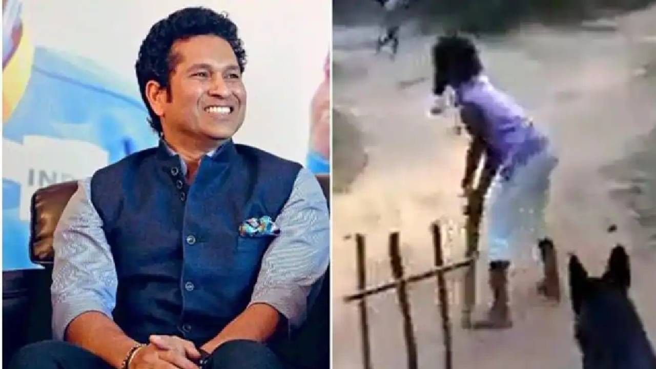 Sachin Tendulkar: ವಿಕೆಟ್ ಕೀಪರ್, ಫೀಲ್ಡರ್: ನಾಯಿಯ ಈ ಪ್ರದರ್ಶನಕ್ಕೆ ಏನೆಂದು ಹೆಸರಿಡುತ್ತೀರಿ?