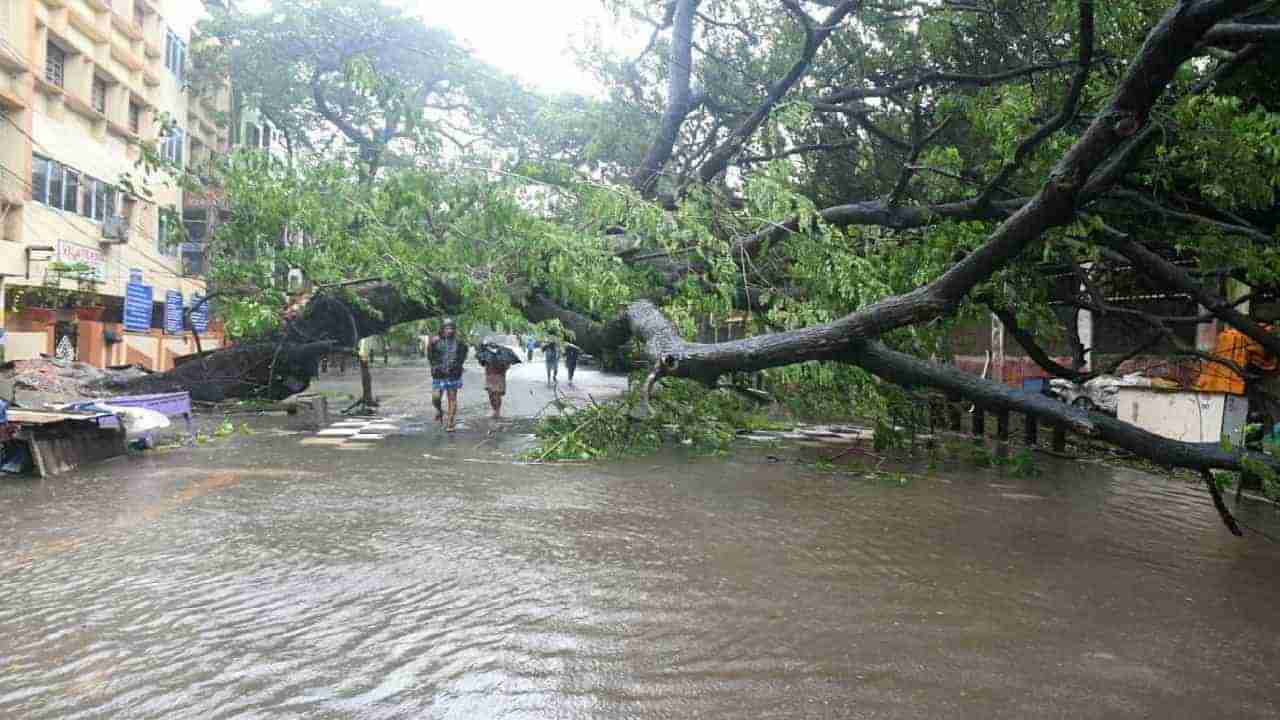 Karnataka Rain: ಬೆಂಗಳೂರು, ಕರಾವಳಿ ಸೇರಿ ಹಲವೆಡೆ ನ. 28ರವರೆಗೂ ವ್ಯಾಪಕ ಮಳೆ; ಮತ್ತೊಂದು ಚಂಡಮಾರುತದ ಭೀತಿ