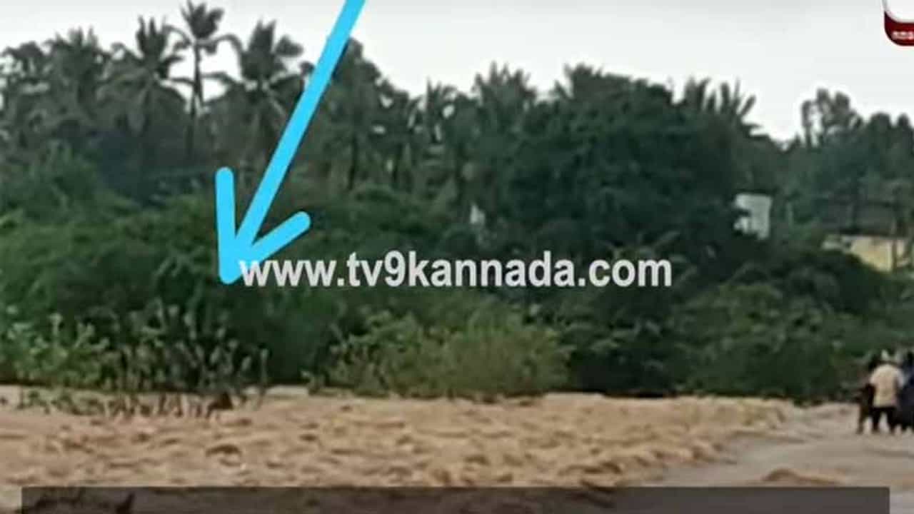 ಜಯಮಂಗಲಿ ನದಿಯಲ್ಲಿ ಕೊಚ್ಚಿ ಹೋಗುತ್ತಿದ್ದ ಇಬ್ಬರು ಯುವಕರನ್ನು ಗ್ರಾಮಸ್ಥರು ರಕ್ಷಿಸಿದ ಸಾಹಸ ರೋಚಕ ಜಯಮಂಗಲಿ ನದಿಯಲ್ಲಿ ಕೊಚ್ಚಿ ಹೋಗುತ್ತಿದ್ದ ಇಬ್ಬರು ಯುವಕರನ್ನು ಗ್ರಾಮಸ್ಥರು ರಕ್ಷಿಸಿದ ಸಾಹಸ ರೋಚಕ