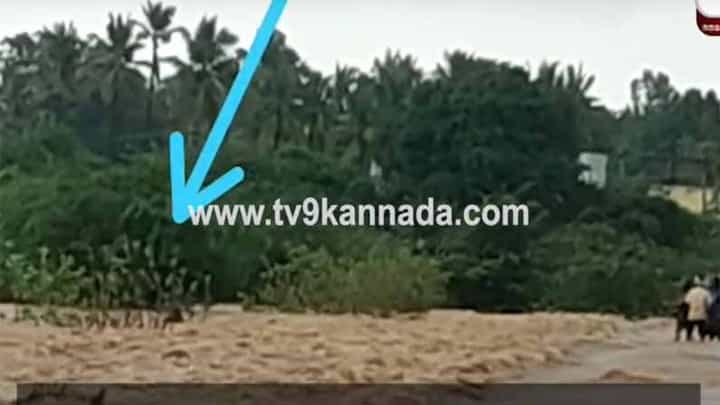 ಜಯಮಂಗಲಿ ನದಿಯಲ್ಲಿ ಕೊಚ್ಚಿ ಹೋಗುತ್ತಿದ್ದ ಇಬ್ಬರು ಯುವಕರನ್ನು ಗ್ರಾಮಸ್ಥರು ರಕ್ಷಿಸಿದ ಸಾಹಸ ರೋಚಕ ಜಯಮಂಗಲಿ ನದಿಯಲ್ಲಿ ಕೊಚ್ಚಿ ಹೋಗುತ್ತಿದ್ದ ಇಬ್ಬರು ಯುವಕರನ್ನು ಗ್ರಾಮಸ್ಥರು ರಕ್ಷಿಸಿದ ಸಾಹಸ ರೋಚಕ