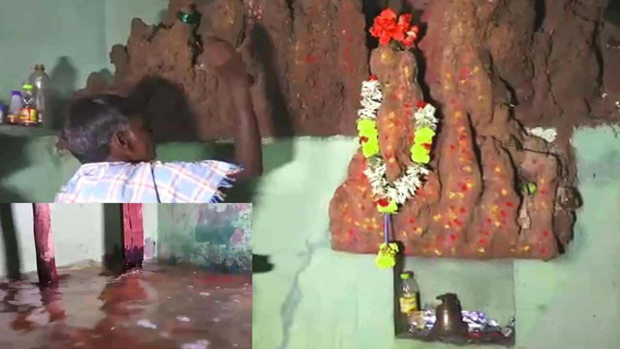 ಮನೆಯಲ್ಲಿ ಜಲೋದ್ಭವ ಅಚ್ಚರಿ; ಕೊಣೆಯೊಳಗಿನ ಹುತ್ತಕ್ಕೆ ತೊಂದರೆಯಾಗದಂತೆ ನೋಡಿಕೊಳ್ಳಲು ಕುಟುಂಬಸ್ಥರ ಪರದಾಟ