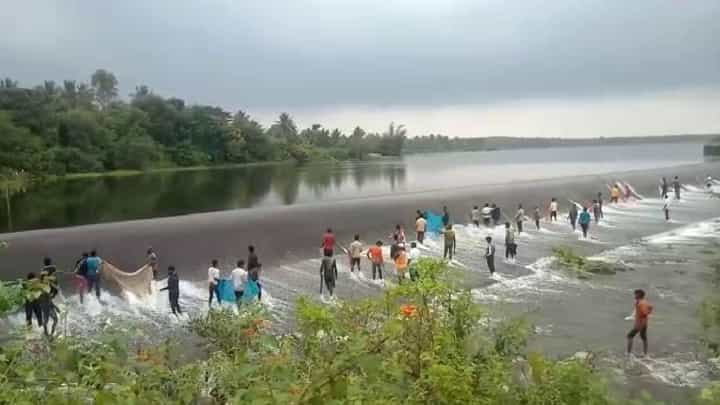 ಹೆಚ್.ಡಿ. ಕೋಟೆ: ಕೆರೆ ಕೋಡಿಯಲ್ಲಿ ಮೀನು ಹಿಡಿಯಲು ಮುಗಿಬಿದ್ದ ಯುವಕರು; ವಿಡಿಯೋ ನೋಡಿ ಹೆಚ್.ಡಿ. ಕೋಟೆ: ಕೆರೆ ಕೋಡಿಯಲ್ಲಿ ಮೀನು ಹಿಡಿಯಲು ಮುಗಿಬಿದ್ದ ಯುವಕರು; ವಿಡಿಯೋ ನೋಡಿ