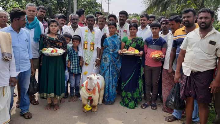 ಅಬ್ಬಬ್ಬಾ! ಮಂಡ್ಯದಲ್ಲಿ 1 ಲಕ್ಷ 91 ಸಾವಿರ ರೂ.ಗೆ ಈ ಟಗರು ಮಾರಾಟ ಅಬ್ಬಬ್ಬಾ! ಮಂಡ್ಯದಲ್ಲಿ 1 ಲಕ್ಷ 91 ಸಾವಿರ ರೂ.ಗೆ ಈ ಟಗರು ಮಾರಾಟ