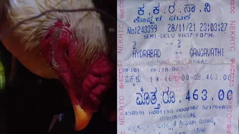 ಸಾಕಿದ ಕೋಳಿಗೆ ಅರ್ಧ ಟಿಕೆಟ್ ದರ ಕೊಟ್ಟು ಹೈದರಾಬಾದ್ನಿಂದ ಕೊಪ್ಪಳಕ್ಕೆ ಪ್ರಯಾಣಿಸಿದ ವ್ಯಕ್ತಿ