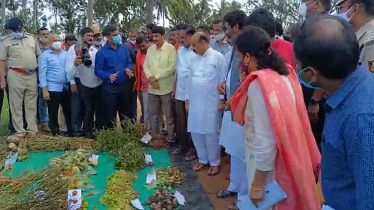 ಕೋಲಾರ ಜಿಲ್ಲೆಯಲ್ಲಿ ಸಿಎಂ ಮಳೆ ಹಾನಿ ಪರಿಶೀಲನೆ; ತೋಟ, ಗದ್ದೆಗಳಿಗೆ ತೆರಳಿ ಮಾಹಿತಿ ಕಲೆ ಹಾಕಿದ ಬಸವರಾಜ ಬೊಮ್ಮಾಯಿ